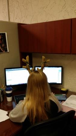 One of our reindeer at work
