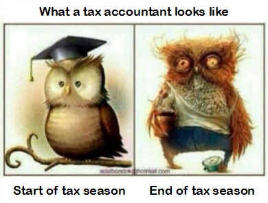 Tax Accountant before and after tax Season