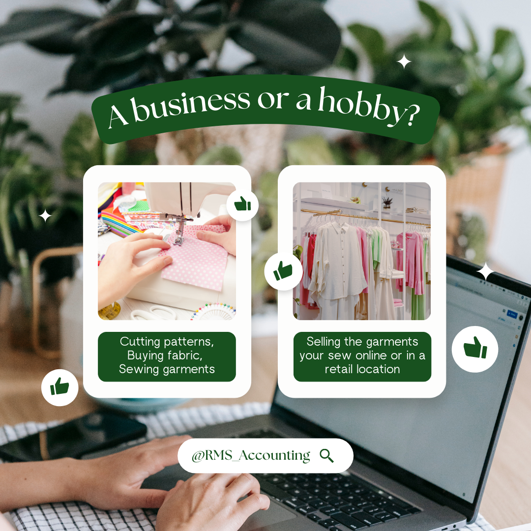Business vs Hobby Picture